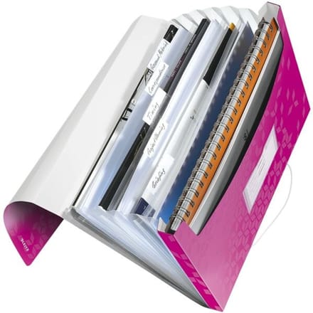 Leitz WOW Projectmap PP - met 6 Vakken - Roze