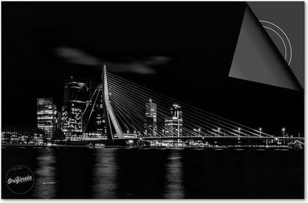 Inductie Beschermer Rotterdam Erasmus print Exclusief 78x52 cm