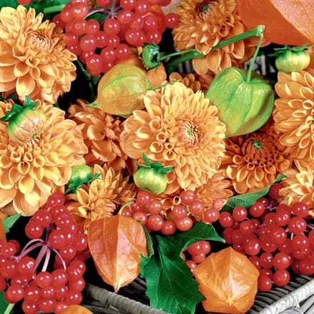 Lunch servetten Flowers & fruits - Paper + Design - 33x33 cm