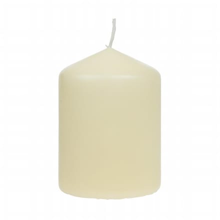 12x Bolsius Professional Stompkaarsen - Ivoor 80/60 (22 uur) - Rookarm