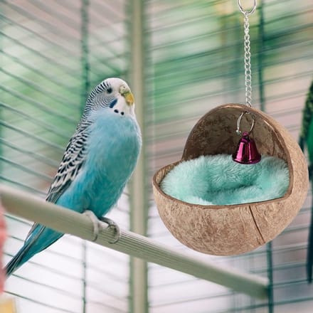 Natuurlijk Kokosnootschil Vogel Broednest Bed Kooi Uitbroednest met Mat blue