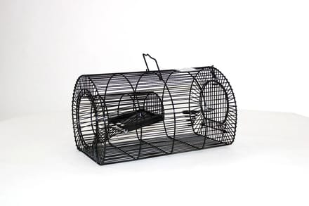 Vangkooi voor meerdere muizen en jonge ratten 33x21x18 cm