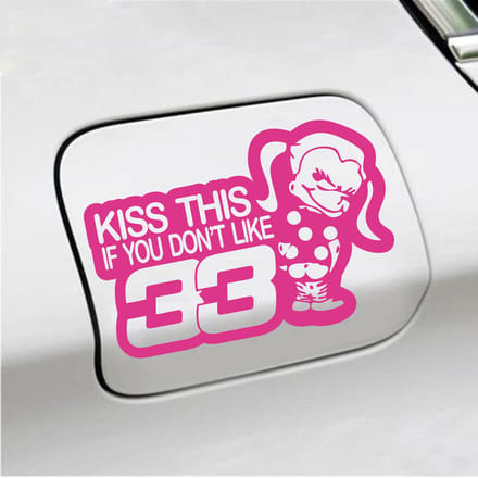 Bumpersticker - Kiss This If You Dont Like 33 - 13,4 X 20 - Roze