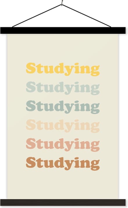 Posterhanger incl. Poster 60x90 cm - Schoolplaat - Quotes - Studeren - Student - Textielposter - Zwarte latten