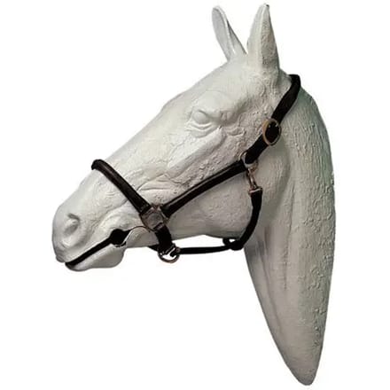 Rijhalster Hispano Hipica