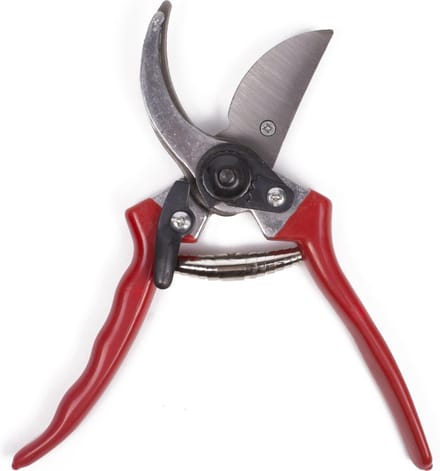 Green Arrow Snoeischaar 21 cm - Rood - Bloemen - Rozen - Takken