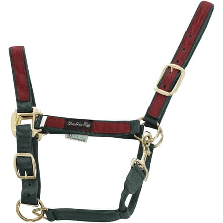 Kleurige nylon halster voor paard Umbria Equitazione