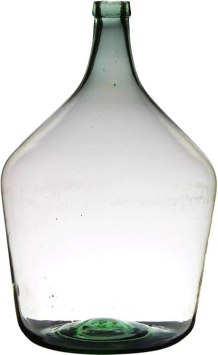 Flesvaas XL - glas - B29 x H46 cm - Bloemen/takken vaas