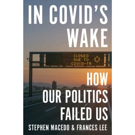 In Covid's Wake - Stephen Macedo