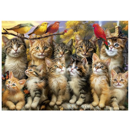 Educa legpuzzel katten en vogels 500 stukjes dieren puzzel.