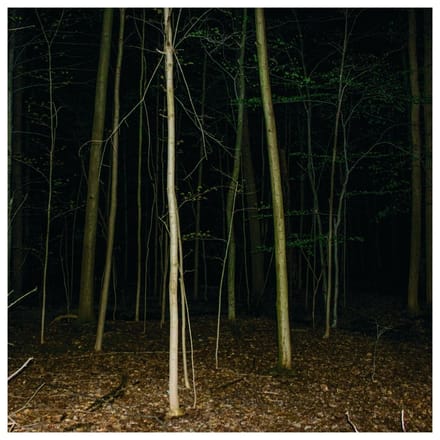 Express Rising - Fixed Rope (LP)