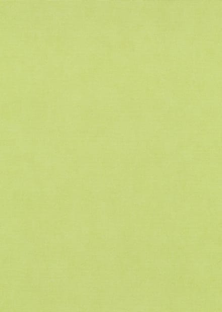 Erismann Vinylbehang 10473-35 - Coulours & Textures - Groen - 53cm x 10.05m