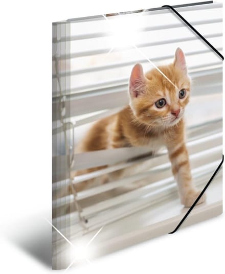 Set van 3 A3 Verzamelmappen met Kattenprint - Stevige Kunststof Opbergmappen