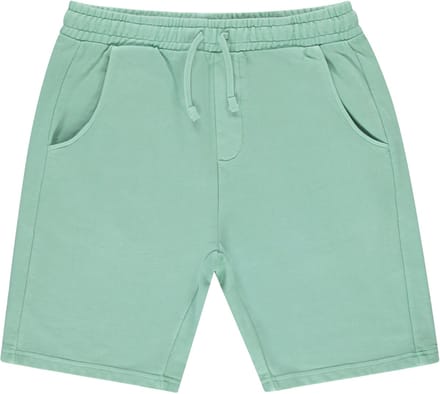 Cars Jeans Short Rydar - Heren