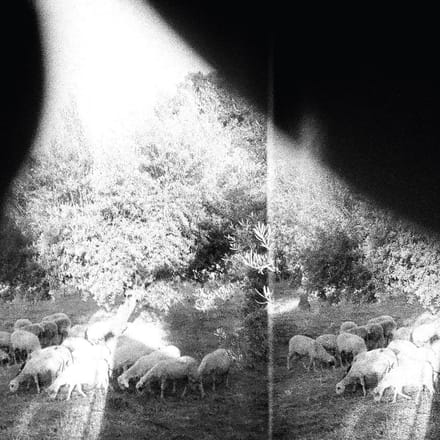 Godspeed You Black Emperor! - Asunder, Sweet And Other Distress (CD)