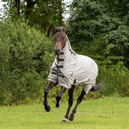 Busse Paddock Vliegendeken Sunshine II Silver 155/205 cm