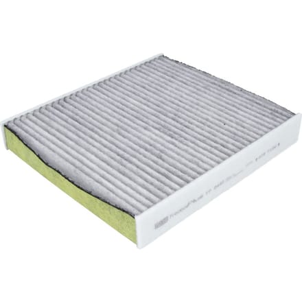 Cabinefilter MANN-FILTER FP 2440