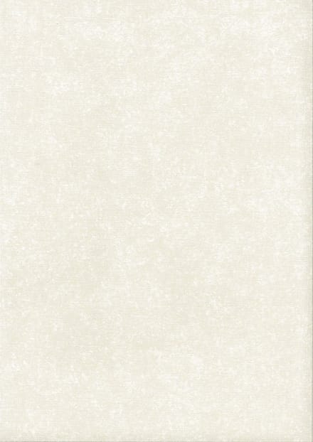 Behang - Etnisch - Vliesbehang - Muurdecoratie - Topchic - 0,53 x 10,05 m.
