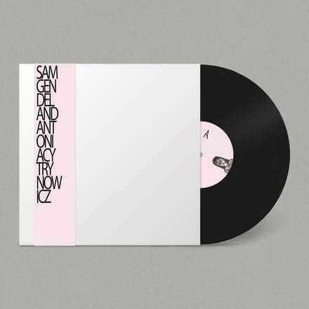 Sam Gendel & Antonia Cytrynowicz - Live A Little (LP)