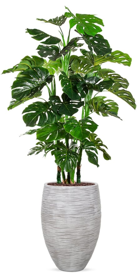 Kunstplant Monstera XL in Vaas elegant Deluxe rib ivoor H180 cm