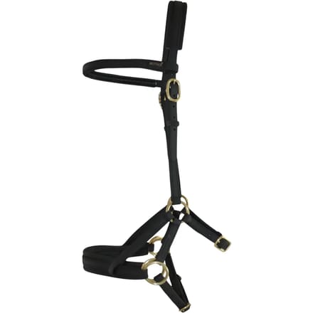 Hoofdstellen T de T Sidepull Biotack®