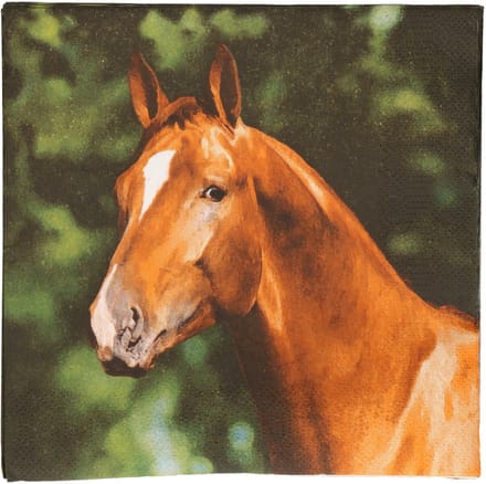Esschert design papieren servetten - 20x - paard - 33 x 33 cm