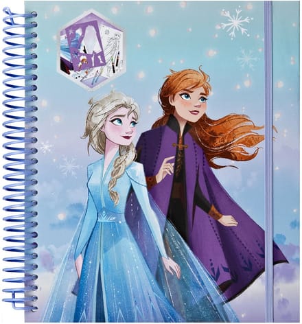 Frozen kleurset met stickers en stiften