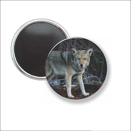Button Met Magneet - Wolf - NIET VOOR KLEDING