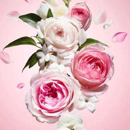 Geurolie – Flower Explosion - 250 ml