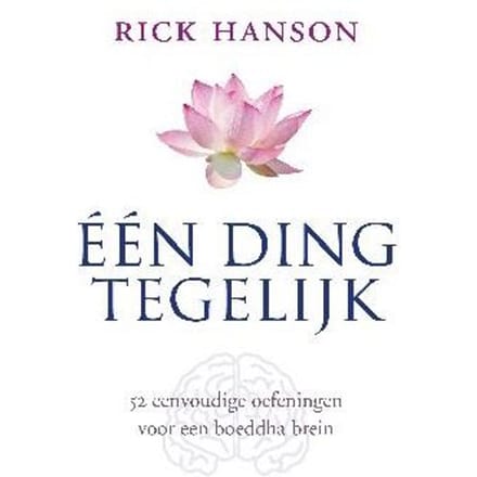 Een Ding Tegelijk - Rick Hanson