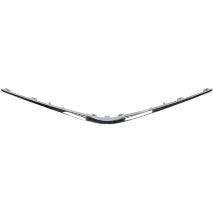 Sierlijst/beschermstrip, radiatorrooster BLIC 6502-07-8156210Q