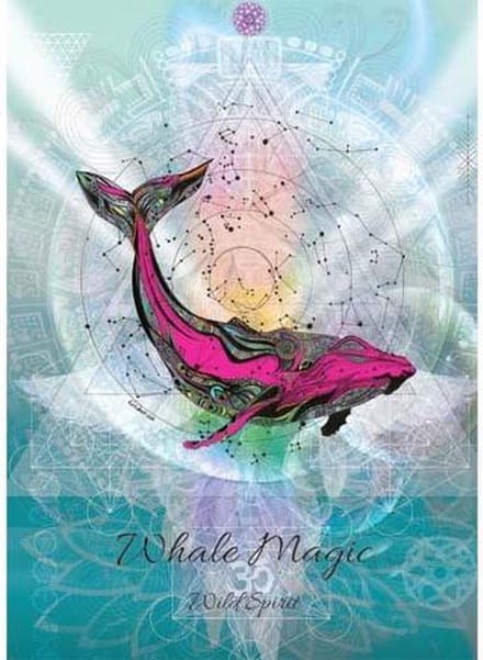 Karin Roberts Wenskaart Whale Magic