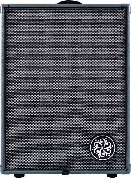 Darkglass Infinity 500 Combo 210 - Basversterker