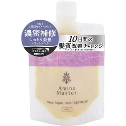 Amino Master - Deep Repair Hair Treatment 100g