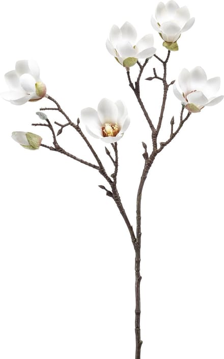 Emerald - Kunstbloem Magnolia mini 65cm crème - Kunstplant voor binnen