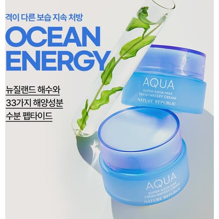 Nature Republic Super Aqua Max Fresh Watery Cream voor de vette huid (80 ml) blue
