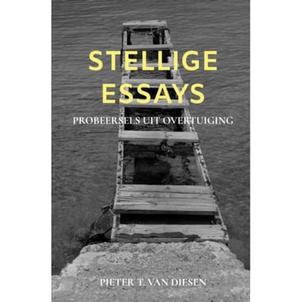 Stellige Essays - Pieter T. Van Diesen