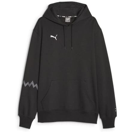 Capuchon sweaters Puma Hoops Team Hoodie