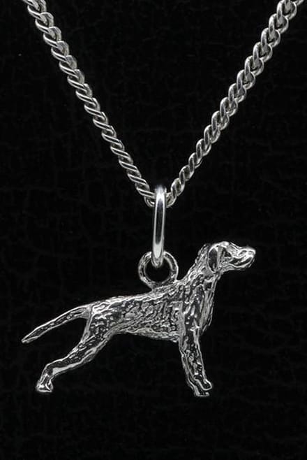 Zilveren Spinone met staart ketting hanger - klein