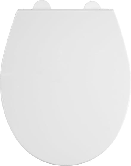 Capri PP Thermoplastisch softclose witte wc-bril - instapniveau_SANITIZE