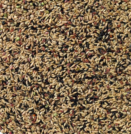 Deli nature kanarie zonder raapzaad nr80 - 2,5 kg