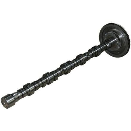 Nokkenas  BF 20100228760