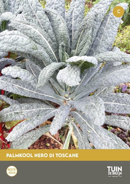 Palmkool Nero di Toscana Zaden – Cavolo Nero – Winterharde Boerenkool – Groentezaden Moestuin | Tuin de Bruijn