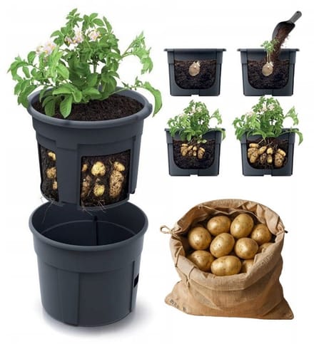 Prosperplast Aardappelpot 28L Aardappelteler IZIE400-S433 - Zwart