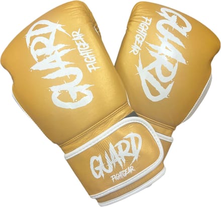 Aurora Fury (14oz) Bokshandschoenen