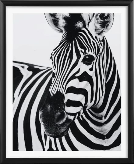 Goldbuch - Fotolijst Alluminio - Zwart - 20x25 cm