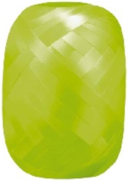 Wefiesta - Cadeaulint - 20 M x 5 MM - Lichtgroen