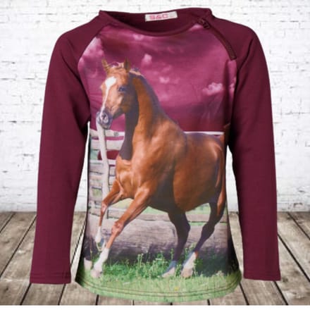Paarse kindertrui met paard F33 - Paars - 86/92