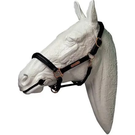 Leren halster voor paard Lexhis