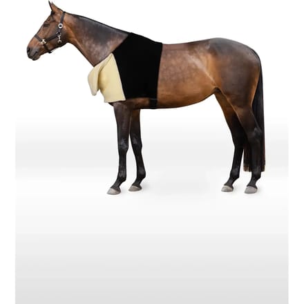 Schouderbeschermer voor paarden Horze Confort